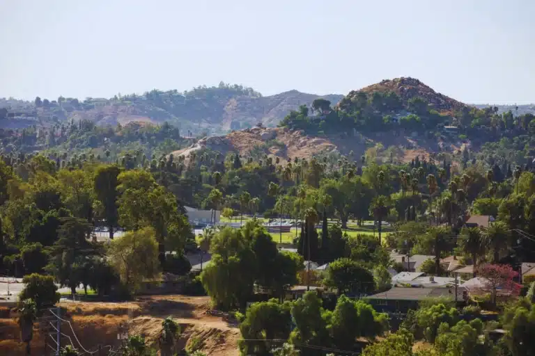 View of Lemon Grove’s green hills and palm trees with homes nestled among the rolling Southern California landscape.