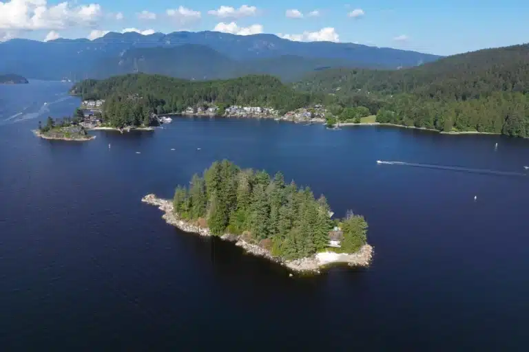 Scenic view of Santee Lakes in California with calm water, surrounding trees, and reflections of the clear sky creating a peaceful outdoor setting.
