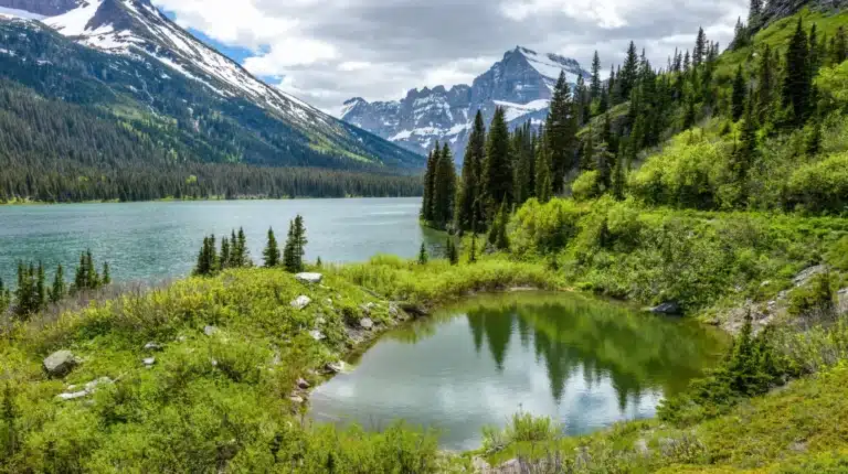 A scenic view of Spring Valley, California, featuring rolling green hills, palm trees, and suburban homes under a bright blue sky, capturing the area’s relaxed and sunny Southern California atmosphere.