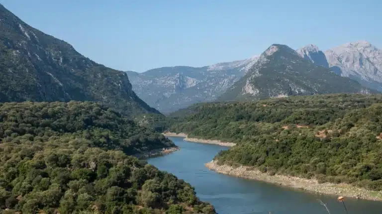 A scenic view of Spring Valley, California, featuring rolling green hills, palm trees, and suburban homes under a bright blue sky, capturing the area’s relaxed and sunny Southern California atmosphere.