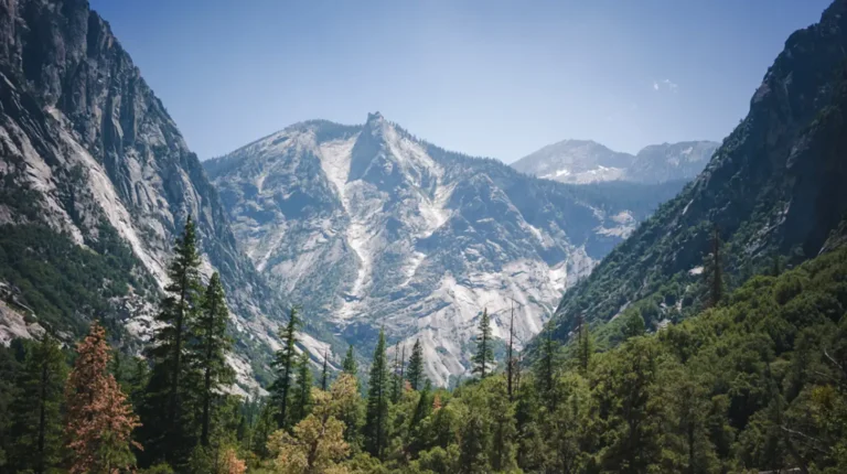 Conversion-focused marketing agency in Clairemont helping local businesses grow online