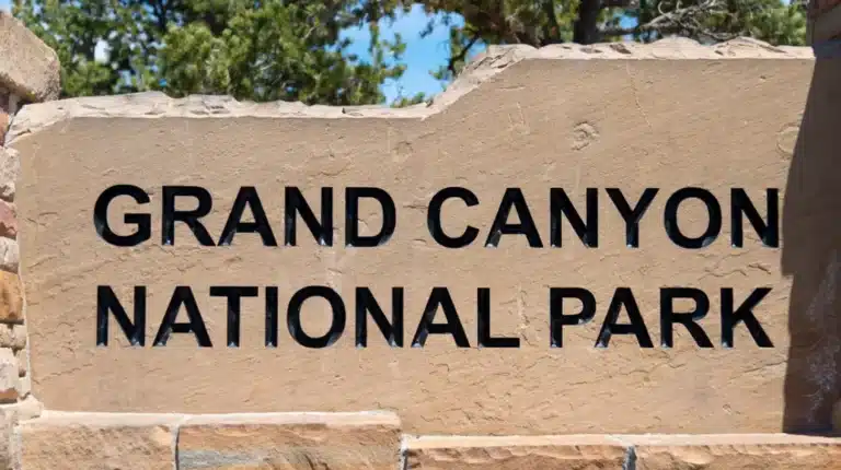 Clairemont marketing specialists offering growth-driven SEO, ads, and conversion strategies