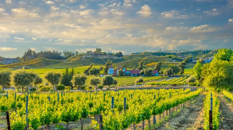 Tower 25 expanding reach to businesses in Valley Center and neighboring towns