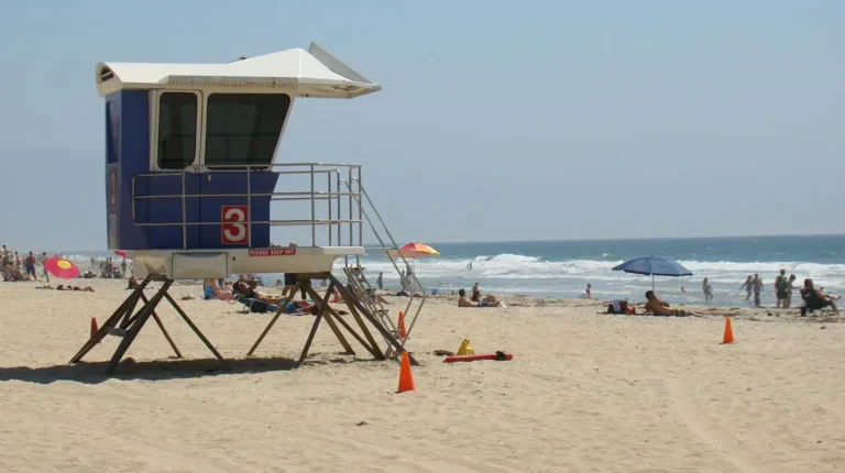 Leading digital marketing agency near Imperial Beach helping businesses win online.