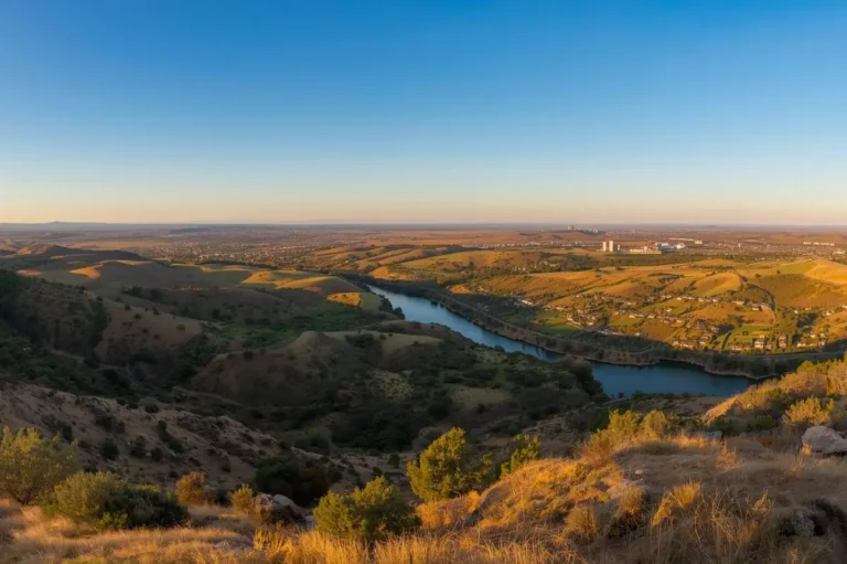 Transforming businesses in Mission Valley into local favorites with results-driven marketing.