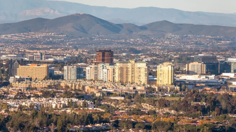 Strategic digital marketing support for University City companies