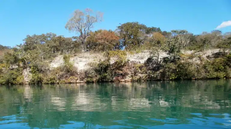 Local business analyzing online marketing results