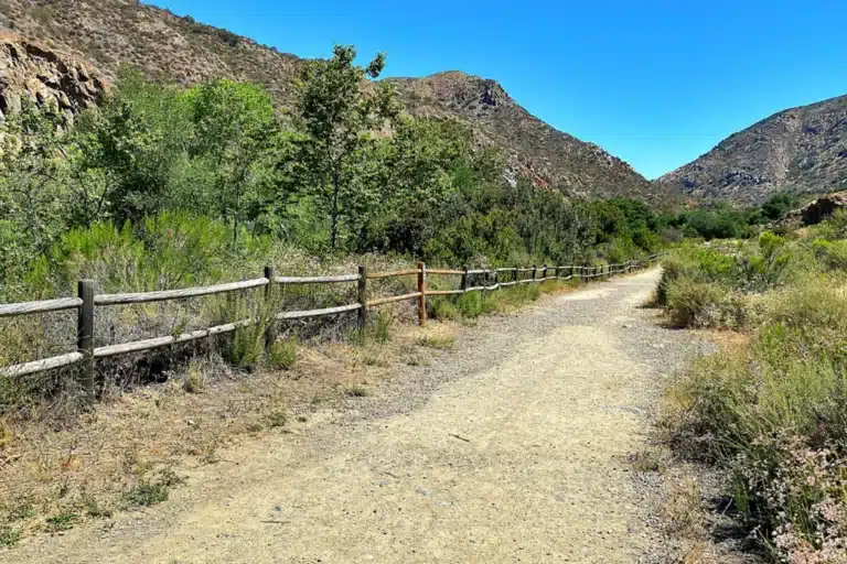 Strategic digital marketing for Tierrasanta businesses to grow and dominate the local market