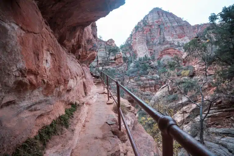 Tower 25 digital marketing helping Tierrasanta businesses become the first choice for customers