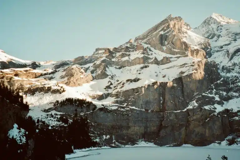 SEO agency Alpine CA helping local businesses rank on Google