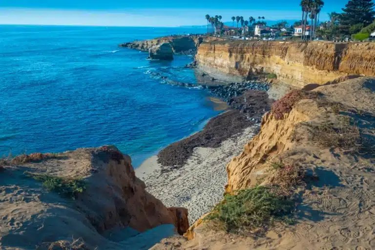 SEO and digital growth experts monitoring campaigns to increase online visibility in Lakeside