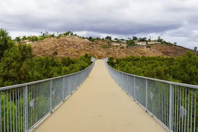 SEO Agency Rancho San Diego helping businesses grow online