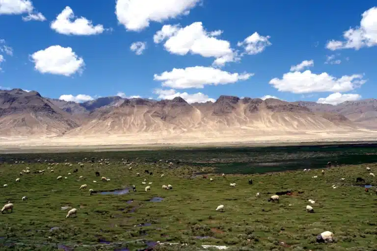 Coastal views near Pacific Highlands Ranch with ocean cliffs, scenic landscapes, and clear skies