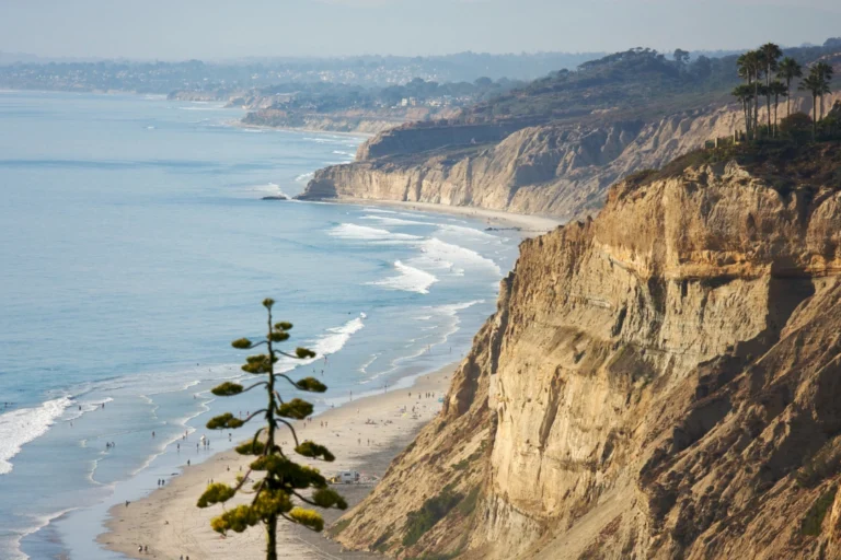 Aerial coastal view of Torrey Pines featuring dramatic cliffs, sandy shoreline, and winding ocean waves along the California coast.