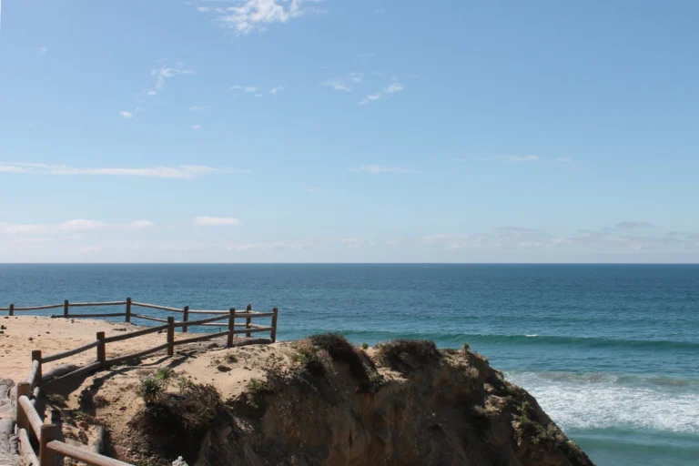 Scenic Torrey Pines coastline with ocean waves, rocky cliffs, and clear blue skies overlooking the Pacific Ocean.