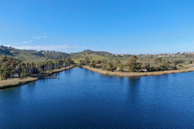 Scenic view of Scripps Ranch, California, featuring a calm lake surrounded by palm trees, grassy hills, and residential neighborhoods under a clear blue sky.