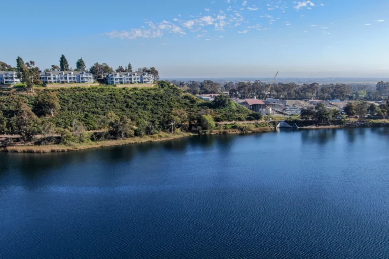 Scenic view of Scripps Ranch, California, featuring a calm lake surrounded by palm trees, grassy hills, and residential neighborhoods under a clear blue sky.