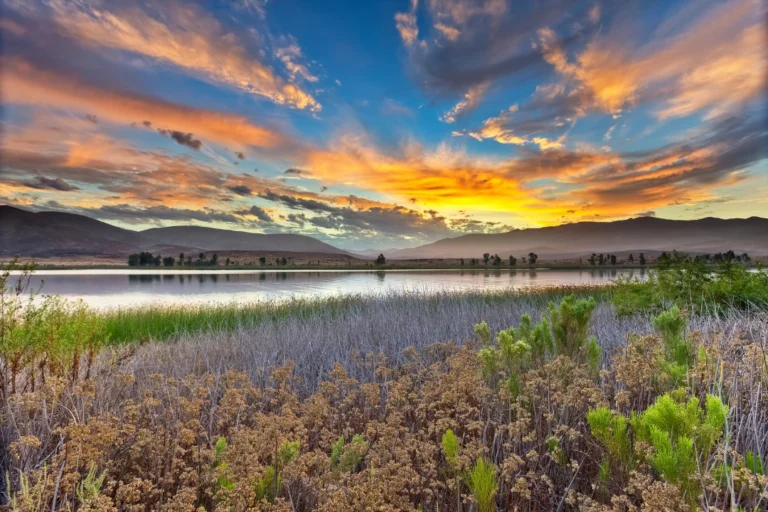 Sunrise over the Otay Mesa wetlands with calm water, marshland, and colorful California sky