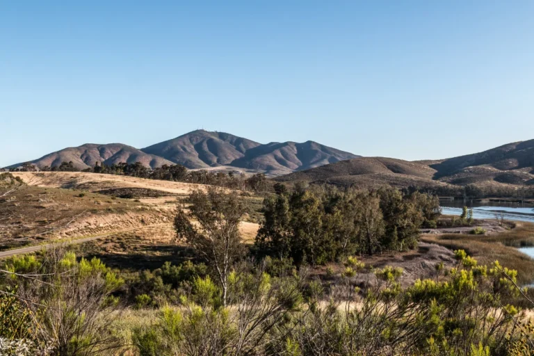 Rolling hills and natural landscape of Otay Mesa, California beneath a clear blue sky