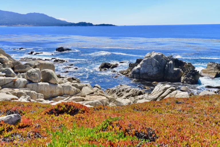 Rocky coastline near Carmel Mountain Ranch with ocean waves, granite boulders, and a bright blue horizon.