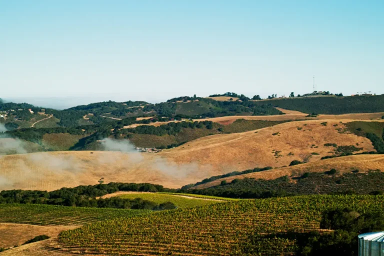 golden-hill=landscape