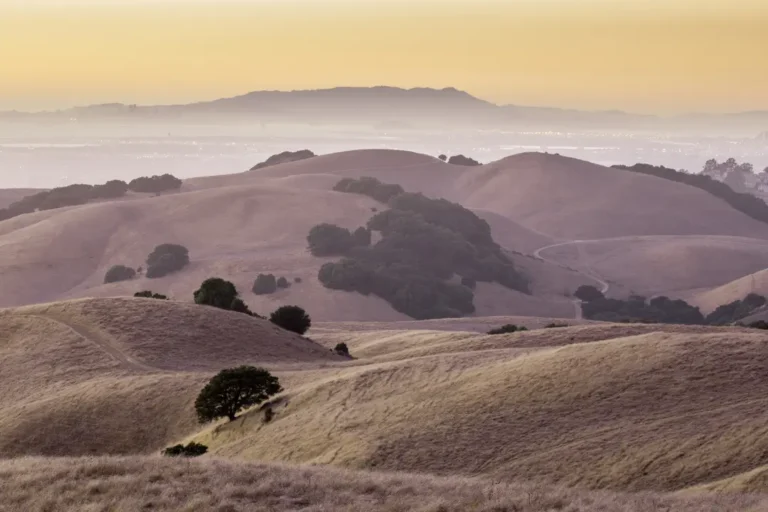 golden-hill-california-views